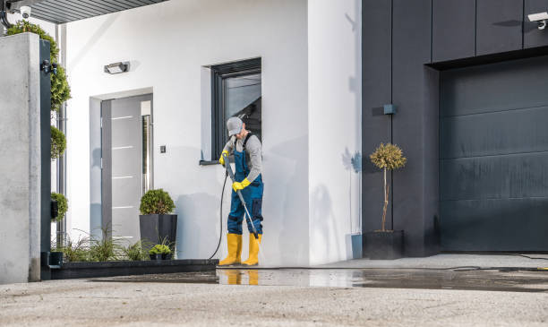 Best Driveway Pressure Washing  in Wharton, NJ